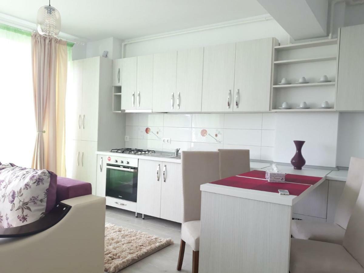 Apartament Coresi Брашов Экстерьер фото
