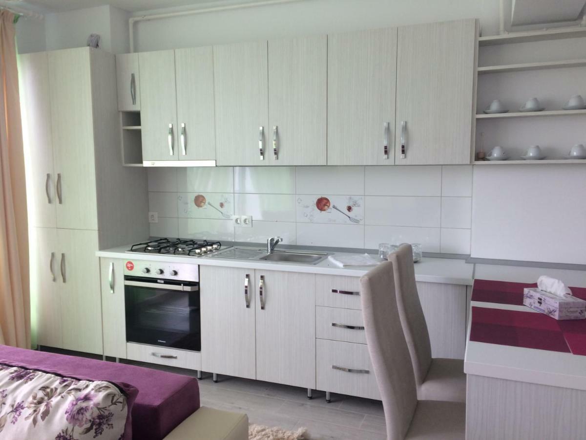 Apartament Coresi Брашов Экстерьер фото